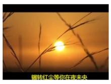 夢回樓蘭（蘇勒亞其其格）