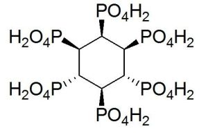 肌醇六磷酸 肌醇六磷酸
