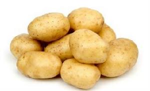 可樂餅[日本美食]