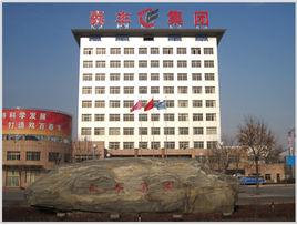 山東泰豐礦業集團有限公司 山東泰豐礦業集團有限公司