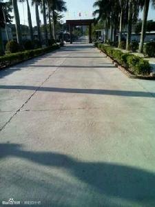 潮陽第四中學 潮陽第四中學