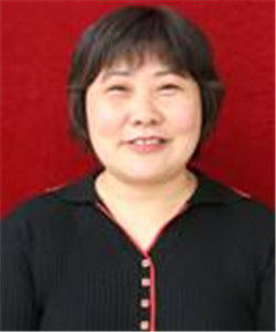 李文莉[天津市南開區鼓樓街道辦事處副主任]