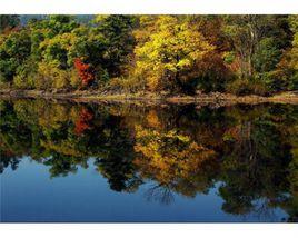 黑龍江齊齊哈爾國家森林公園