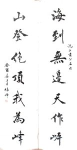 海到無邊天作岸；山登絕頂我為峰