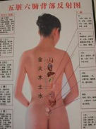 腎精不足 腎精不足