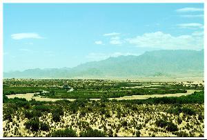 青海格爾木市胡楊林風景區