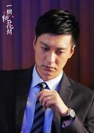 一樹桃花開[2016年王瑞執導電視劇]