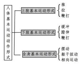 人體基本運動動作形式 人體基本運動動作形式