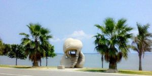 廈門環島旅遊觀光巴士 廈門環島旅遊觀光巴士