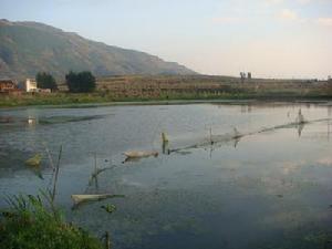 （圖）自然資源