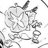 強制觀察型生化牽牛花習題3號