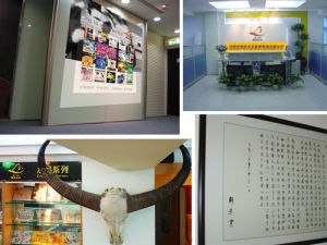 深圳市彼岸文化藝術發展有限公司 深圳市彼岸文化藝術發展有限公司