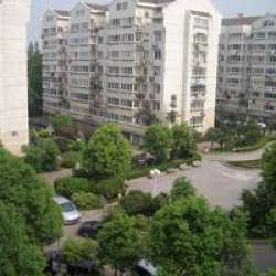 童衛路小區 童衛路小區