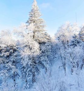 吉林霧凇 吉林霧凇