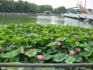 南湖公園[四平市南湖公園]