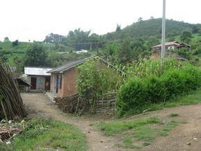 大科賀自然村 大科賀自然村