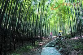 竹海鎮[四川省宜賓市長寧縣竹海鎮]