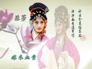 嫁衣血案 嫁衣血案