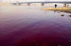 4·10蘭州自來水苯超標事件 4·10蘭州自來水苯超標事件