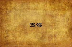 雪殤[小說名稱]