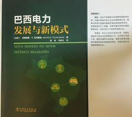 巴西電力發展與新模式