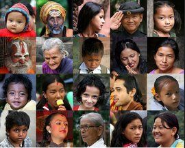 四大人種 四大人種