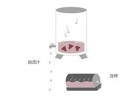 二氧化碳浸漬法 二氧化碳浸漬法