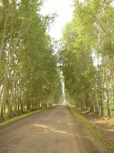 安邦河國家濕地公園