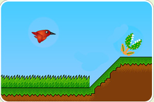 小鳥試飛 小鳥試飛