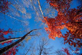 岳池金馬湖生態旅遊區 岳池金馬湖生態旅遊區