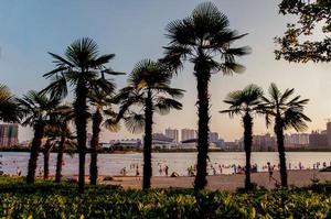 孔目江國家城市濕地公園