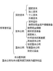 所有者權益 所有者權益