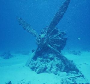 藍色能源 藍色能源