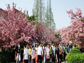 煙臺農博園 煙臺農博園