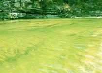 明月湖景區 明月湖景區