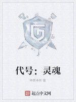 代號:靈魂 代號:靈魂