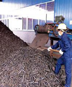 垃圾環保再生煤 垃圾環保再生煤