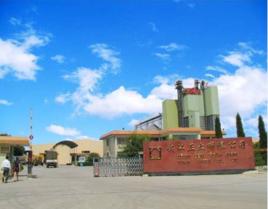 武漢正大有限公司 武漢正大有限公司