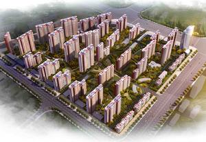 百合世嘉 百合世嘉