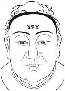 面相十二宮之官祿宮