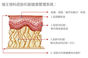 瑞士微科 瑞士微科