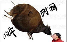 Open yellow gun Open yellow gun