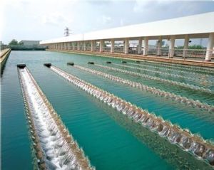 臨泉縣自來水廠 臨泉縣自來水廠