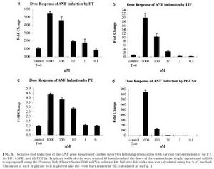 《PCR技術檢測細菌》