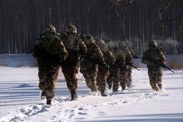 東北邊防軍 東北邊防軍