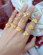 紫綬金章 紫綬金章