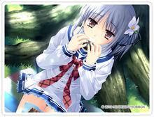 櫻花限定 さくらビットマップ 