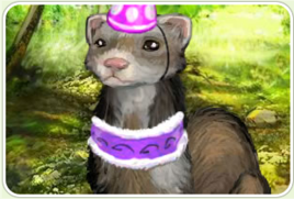 可愛的雪貂 可愛的雪貂