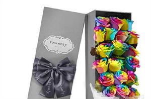 彩虹玫瑰[玫瑰類型花瓣呈現出多種顏色的玫瑰]