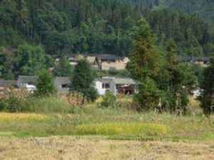 小尹家灣自然村 小尹家灣自然村